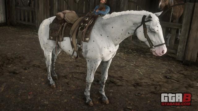 Few Spots Appaloosa - RDR2 Horse