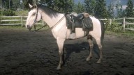 RDR2 Horses ButtermilkBuckskinKentuckySaddler