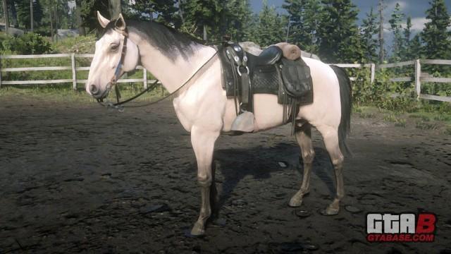 Buttermilk Buckskin Kentucky Saddler - RDR2 Horse