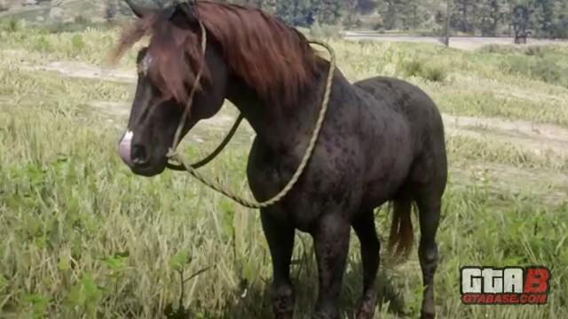 Liver Chestnut Morgan Horse - RDR2 Horse
