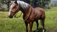 RDR2 Horses TennesseeWalker GoldPalominoTennesseeWalker