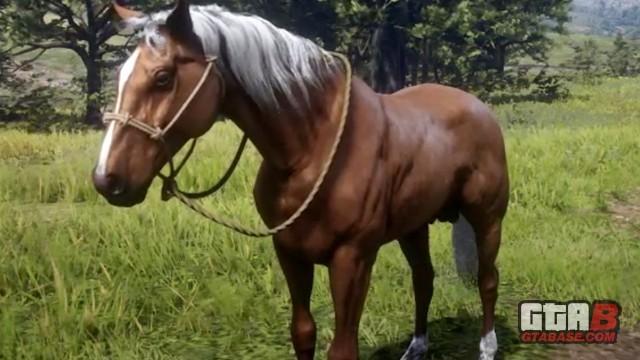 Gold Palomino Tennessee Walker - RDR2 Horse