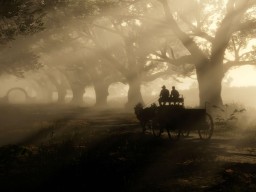 RDR2 PC 25