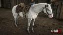 Rd r2 horses appaloosa few spots appaloosa 4225 360