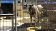 GTA5 Animals Cow 3 DirectorMode