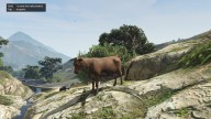 GTA5 Animals Cow PeyotePlant