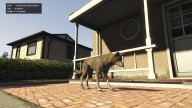 GTA5 Animals Coyote PeyotePlant