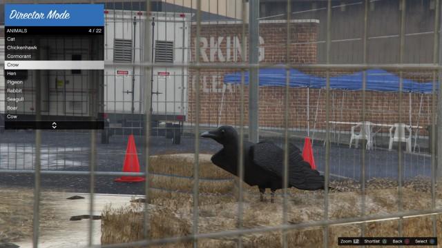 GTA5 Animals Crow DirectorMode