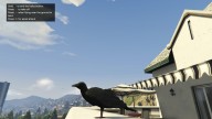 GTA5 Animals Crow PeyotePlant