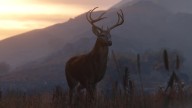 GTA5 Animals Deer