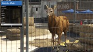 GTA5 Animals Deer 1 DirectorMode