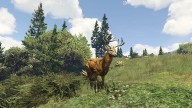 GTA5 Animals Deer PeyotePlant