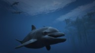 GTA5 Animals Dolphin