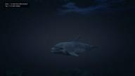 GTA5 Animals Dolphin PeyotePlant