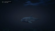 GTA5 Animals Dolphin PeyotePlant