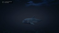 GTA5 Animals Dolphin PeyotePlant