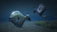 GTA5 Animals Fish 2