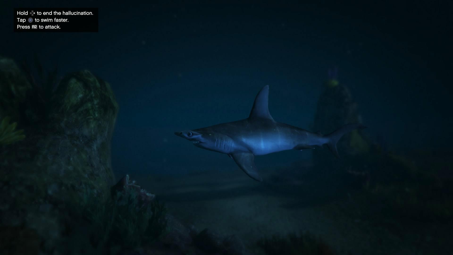 Hammerhead Shark  GTA 5 Animals, How To Play & Where To Find