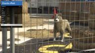 GTA5 Animals Husky 3 DirectorMode