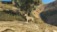 GTA5 Animals Husky PeyotePlant