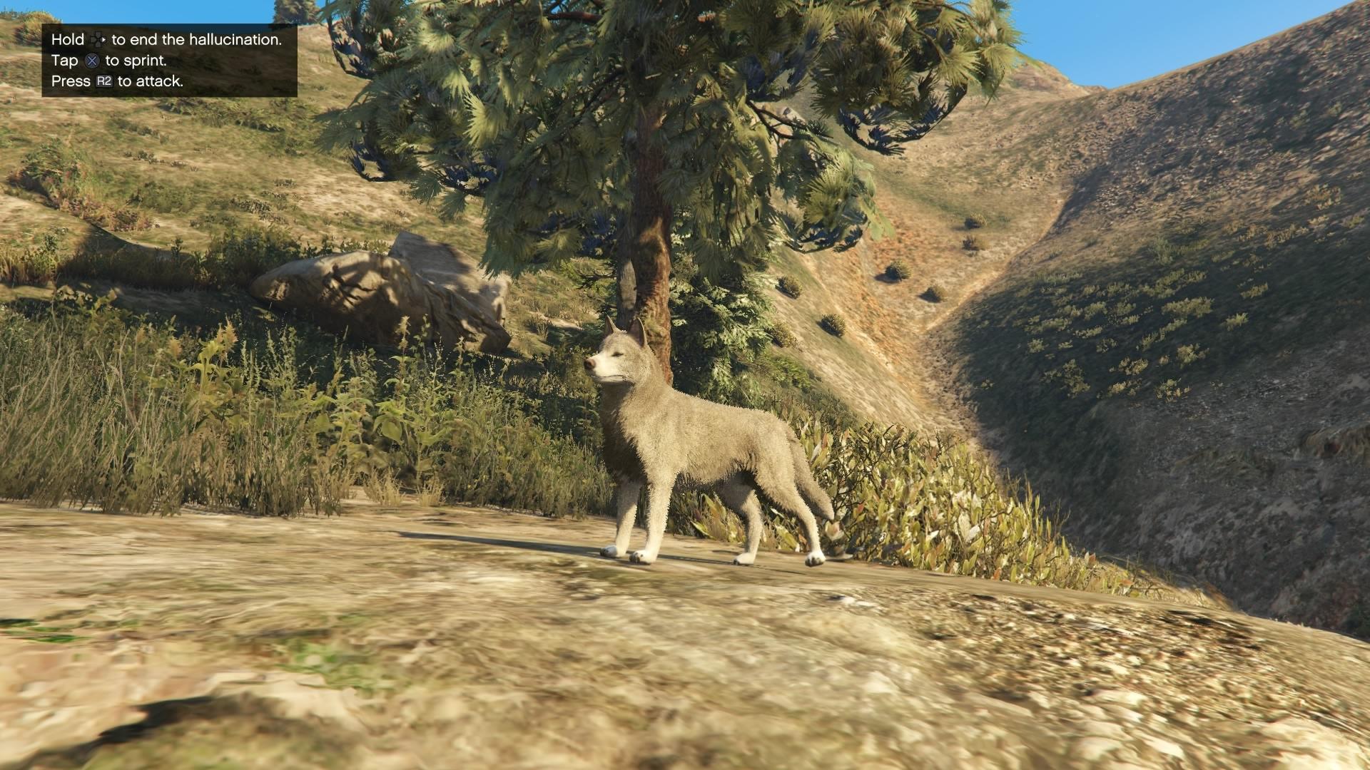 Gta 5 all animals you can be фото 18