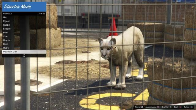GTA5 Animals MountainLion 1 DirectorMode