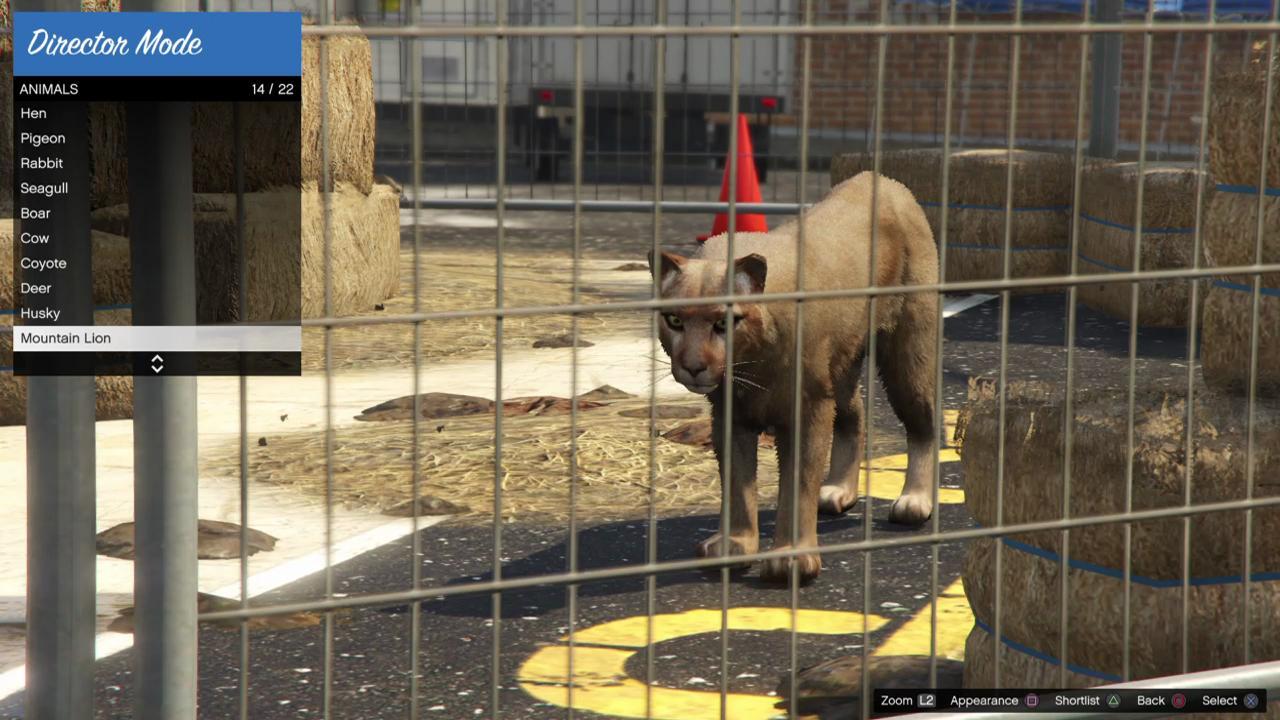 Cougar / Mountain Lion | GTA 5 Animals, How To Play & Where To Find