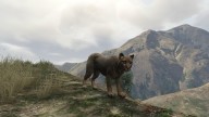 GTA5 Animals MountainLion PeyotePlant