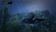 GTA5 Animals Orca PeyotePlant