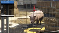 GTA5 Animals Pig 1 DirectorMode