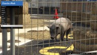 GTA5 Animals Pig 2 DirectorMode