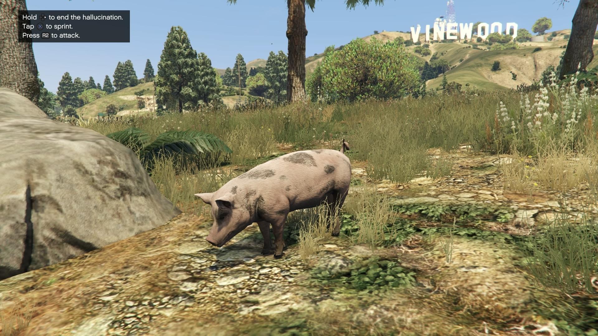 Gta 5 the animals фото 11