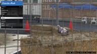 GTA5 Animals Pigeon DirectorMode