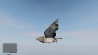 GTA5 Animals Pigeon PeyotePlant