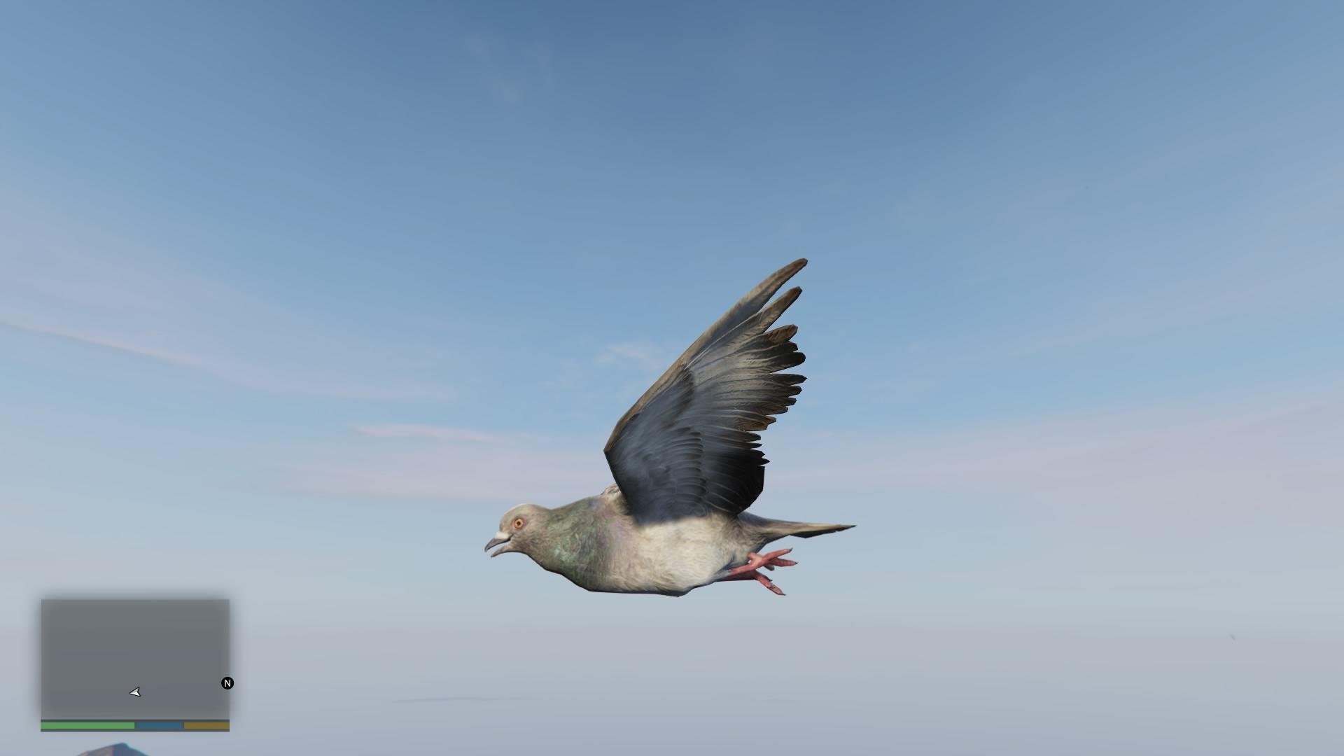 Peyote bird gta 5 фото 4