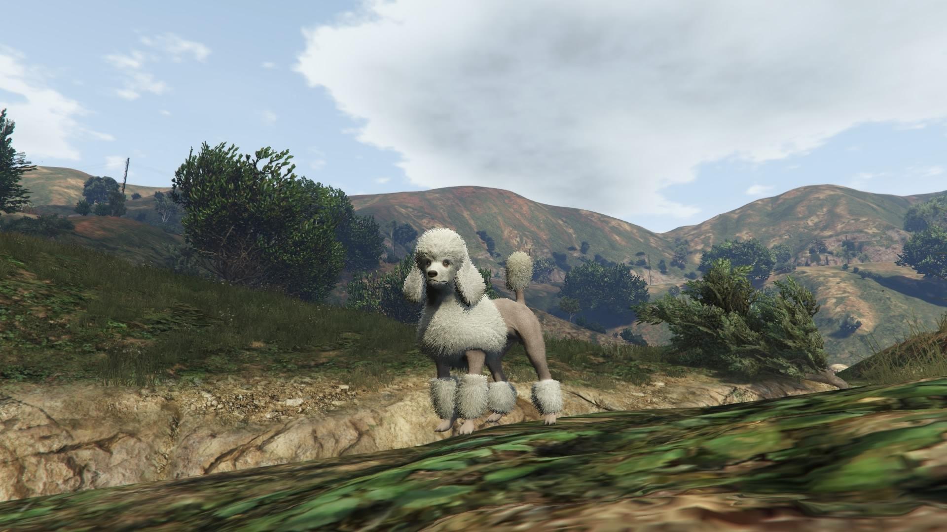 Gta 5 the animals фото 23