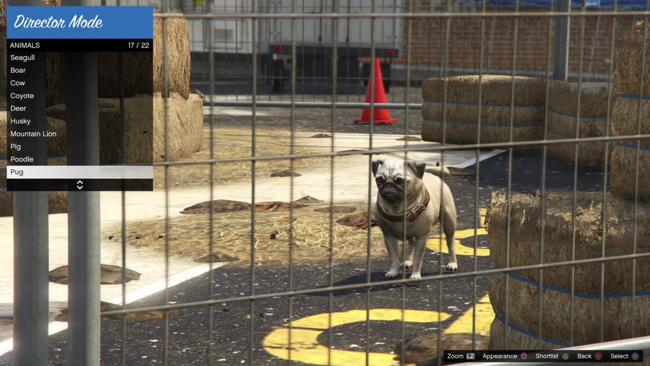 Pug | GTA 5 Animals, How To Play & Where To Find