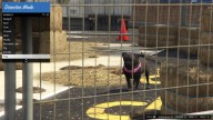 GTA5 Animals Pug 2 DirectorMode