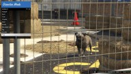 GTA5 Animals Pug 3 DirectorMode