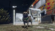 GTA5 Animals Pug PeyotePlant