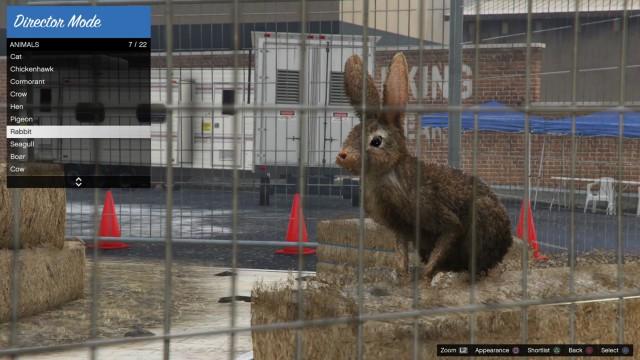GTA5 Animals Rabbit DirectorMode