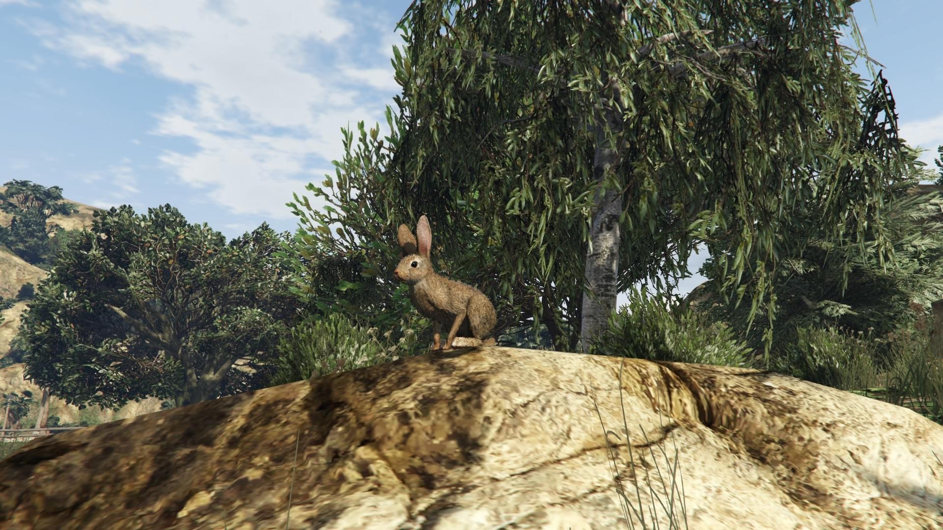 Are there animals in gta 5 фото 91