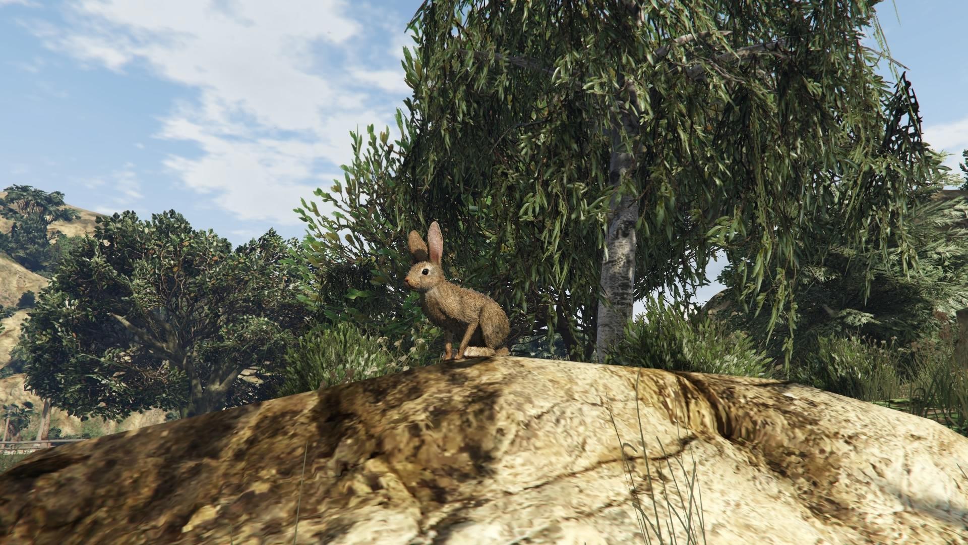 Gta 5 the animals фото 21