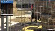 GTA5 Animals Retriever 2 DirectorMode