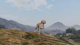 GTA5 Animals Retriever PeyotePlant