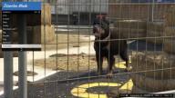 GTA5 Animals Rottweiler 1 DirectorMode