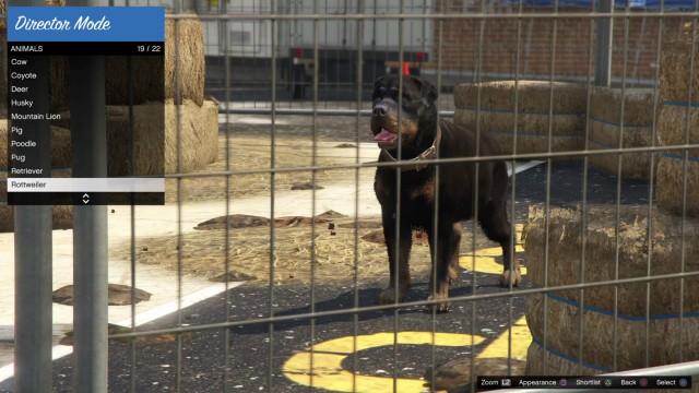 Rottweiler | GTA 5 Animals, How To Play & Where To Find