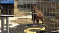 GTA5 Animals Rottweiler 2 DirectorMode
