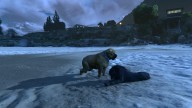 GTA5 Animals Rottweiler PeyotePlant