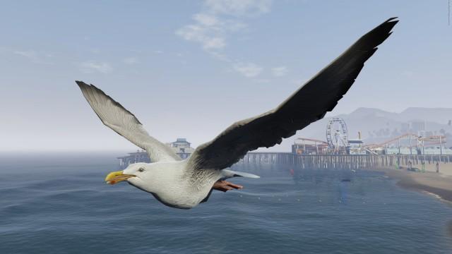 GTA5 Animals Seagull 2 PeyotePlant